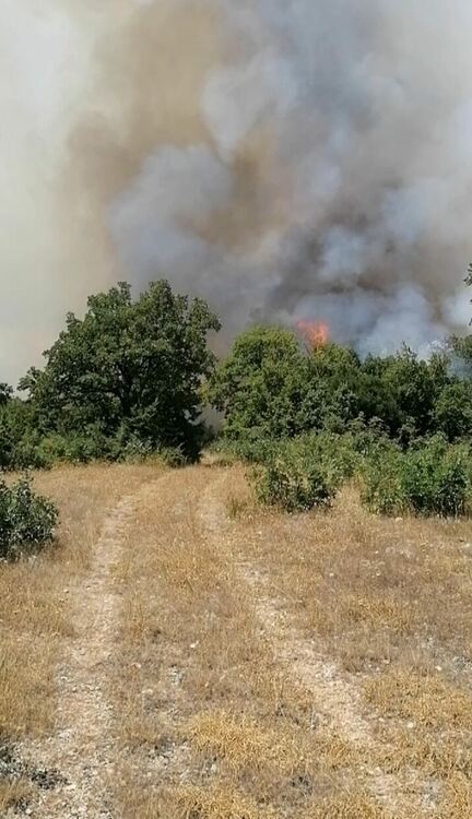Пожар избухна край Свирачи и Орешино