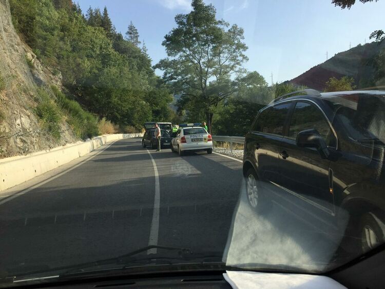 снимка: Никола Александров