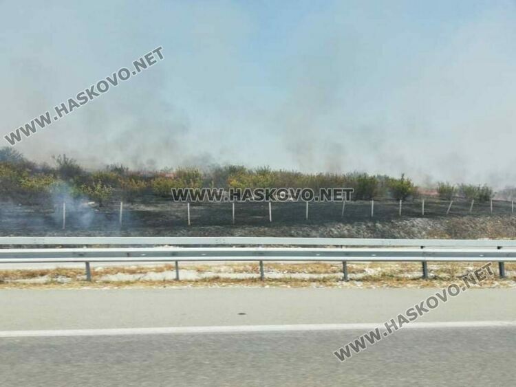 Пожар избухна край магистрала "Марица" 