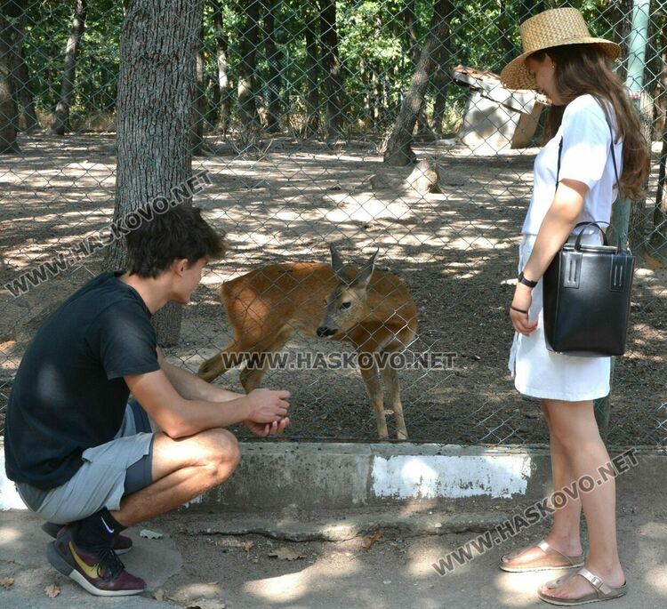 Две патагонски мари са сред новите обитатели в хасковския зоопарк