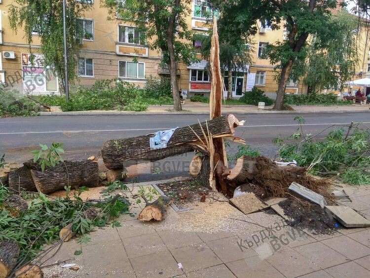 Жълт код за силен вятър е обявен за област Кърджали, шанс да превали в Кърджали