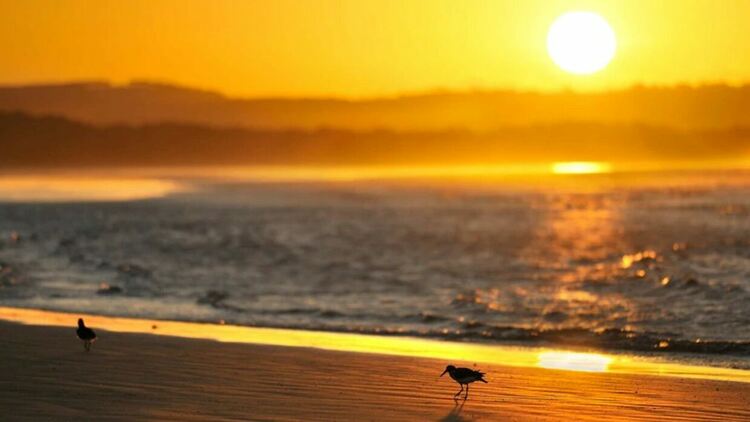 Жега в неделя, до 37 градуса