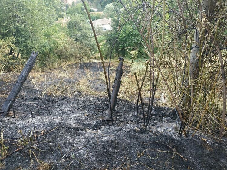 За два дни горяха три горски пожара в Родопите, за щастие без сериозни щети