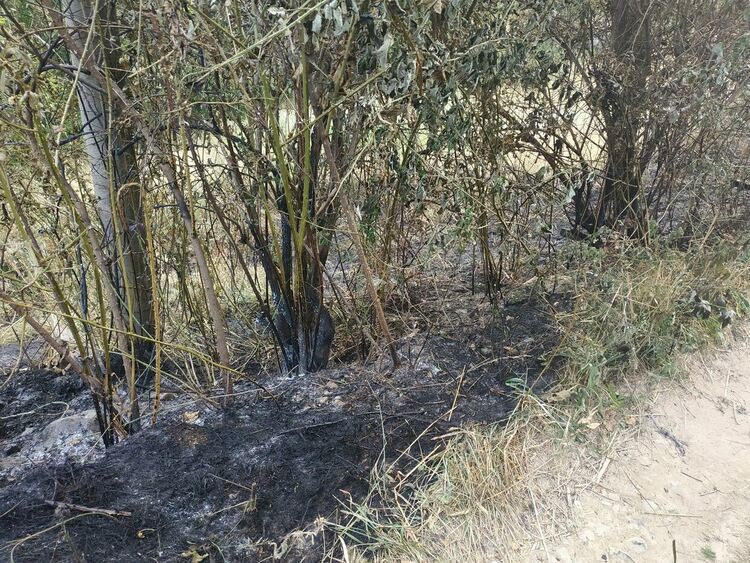 Девет смолянски огнеборци продължават да гасят пожари в съседна Северна Македония