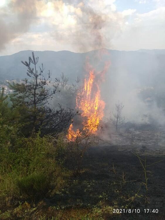 Късо съединение от далекопровод подпали пожар в село Вишнево, загасиха го с дружни усилия