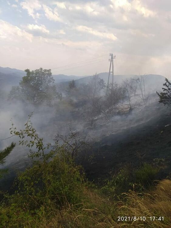 Късо съединение от далекопровод подпали пожар в село Вишнево, загасиха го с дружни усилия