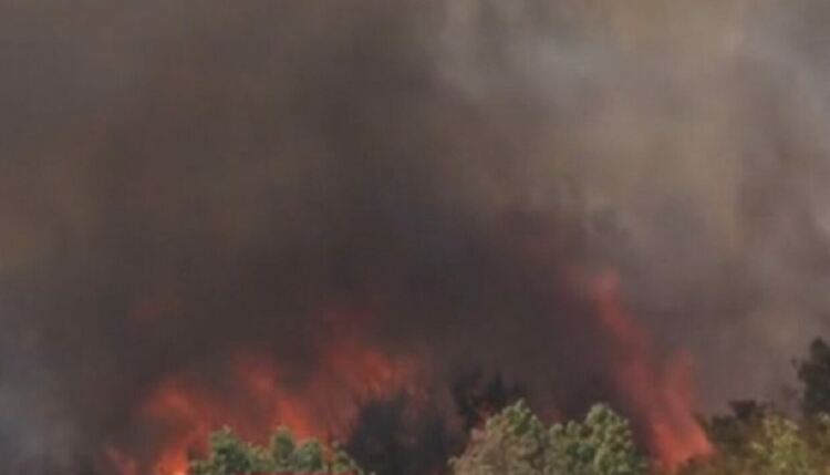 Пожарът край родопското село Югово вече е на площ от 100 дка