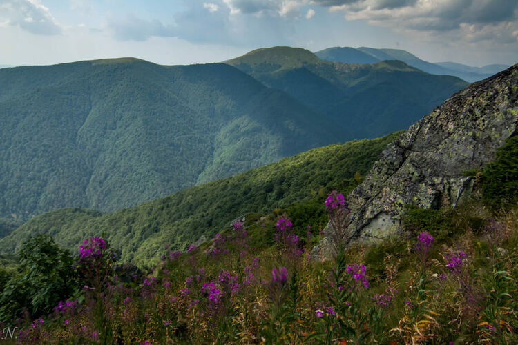 снимка: Нина Серафимова