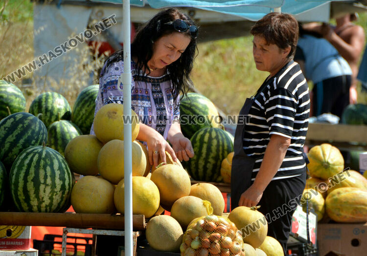 Повече производители на импровизирания пазар край пътя между Хасково и Конуш