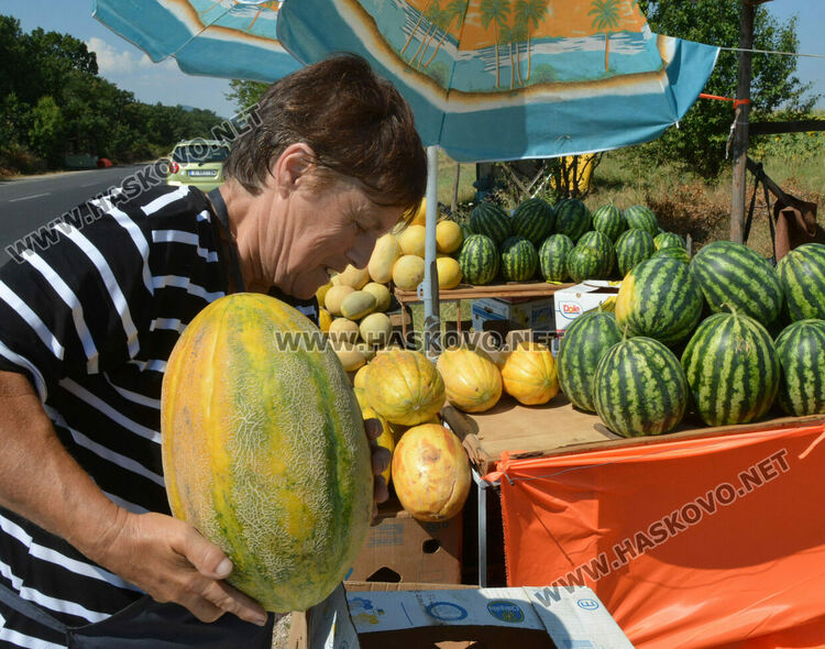 Повече производители на импровизирания пазар край пътя между Хасково и Конуш