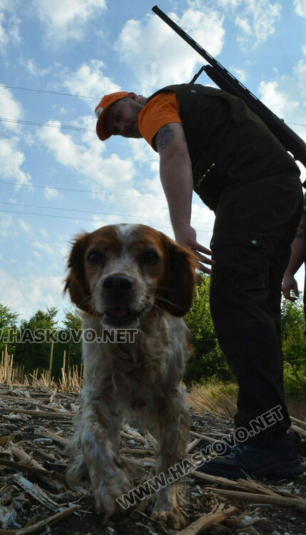 Дружинката от Стамболийски откри лова на пернат дивеч със слука. Чакат и група от Гърция