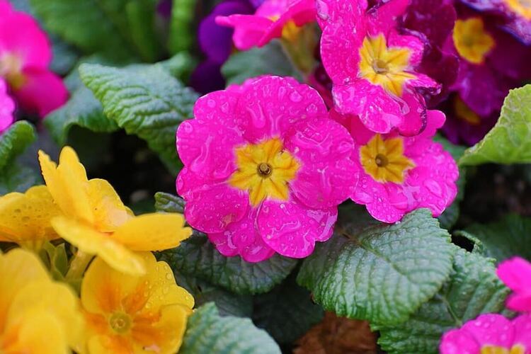 Температури до 32 градуса със слънчево време днес