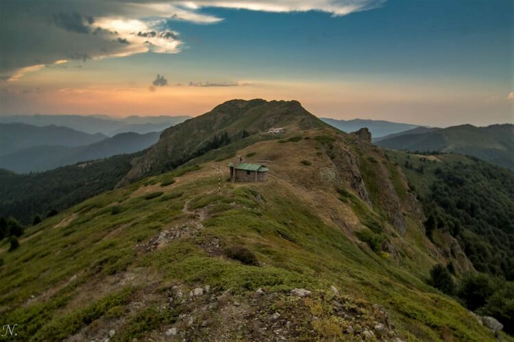 снимка: Нина Серафимова