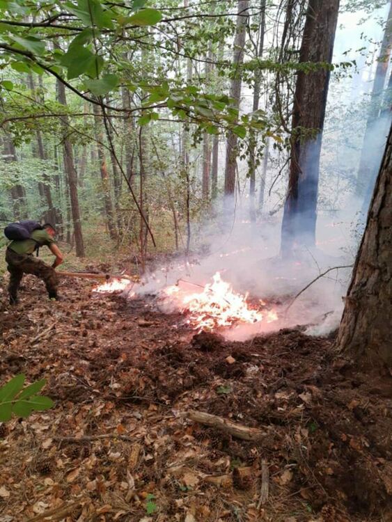 Кметът на Нареченски бани: Пожарът над селата към момента не застрашава населените места в района
