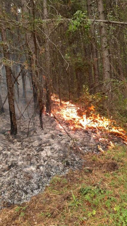 Кметът на Нареченски бани: Пожарът над селата към момента не застрашава населените места в района