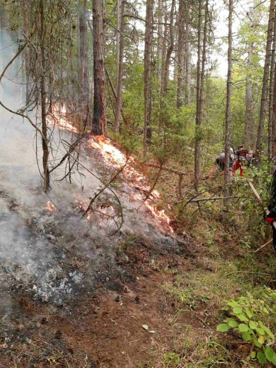 Кметът на Нареченски бани: Пожарът над селата към момента не застрашава населените места в района
