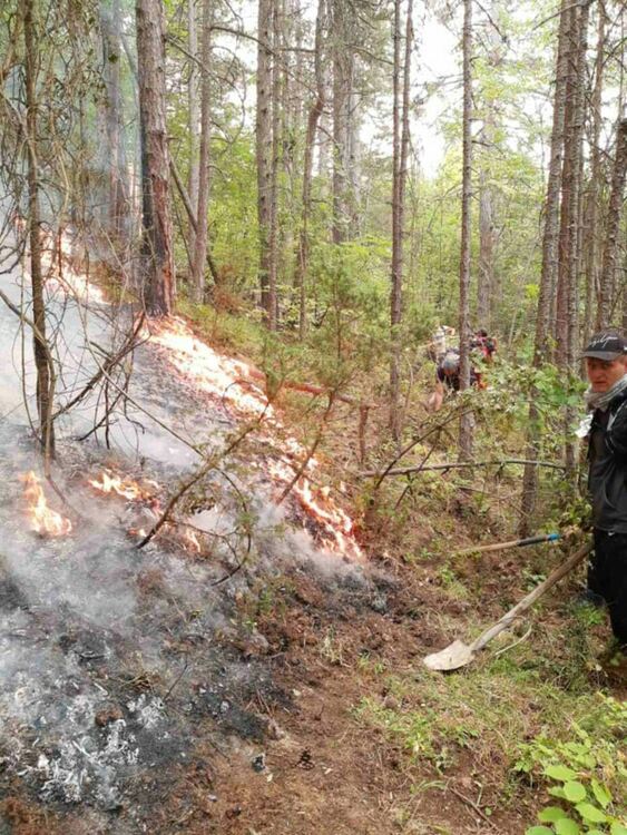 Кметът на Нареченски бани: Пожарът над селата към момента не застрашава населените места в района