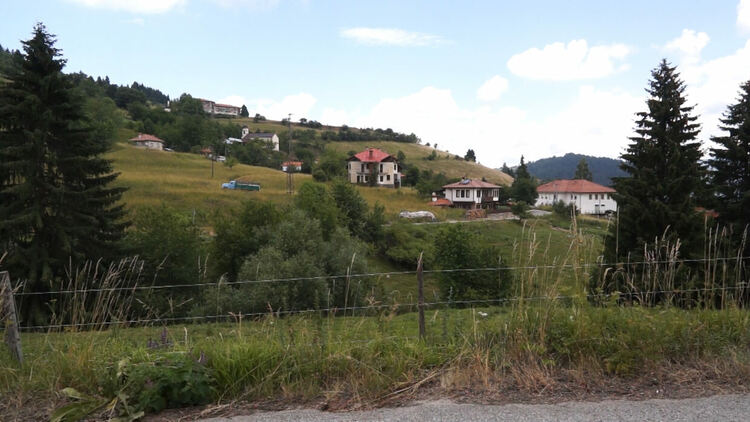 Мълнии подпалиха два пожара край Гела и Ягодина, горски помагаха за гасенето