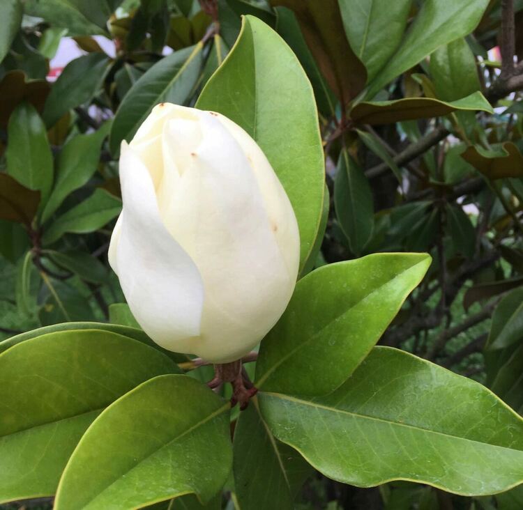 Слънчево и малко по-прохладно днес