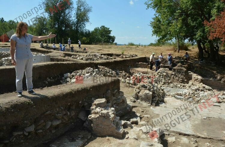 гл. асистент д-р Веселка Кацарова