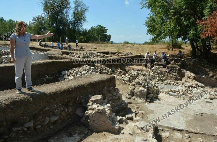 д-р Веселка Кацарова