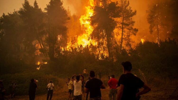 Нов голям пожар е избухнал на Евбея
