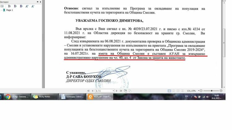 Кметът на Смолян с до 2 хиляди лева глоба заради уличните кучета