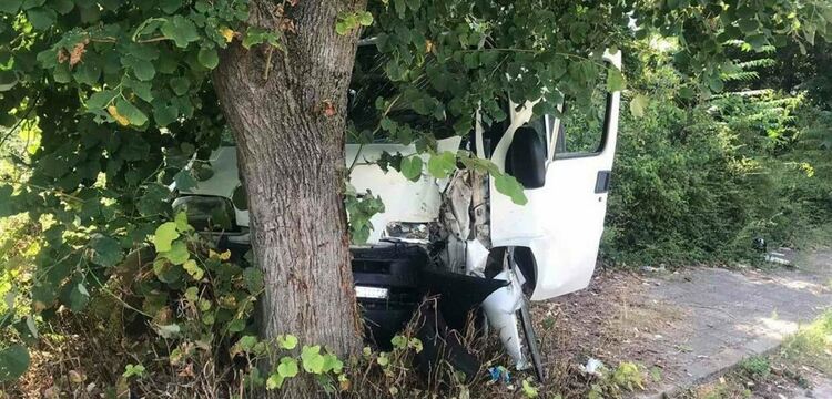 снимката е илюстративна