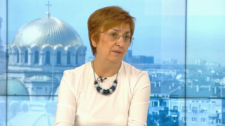 Проф. Екатерина Михайлова: Възможна е конституционна криза, ако НС не определи дата за президентските избори