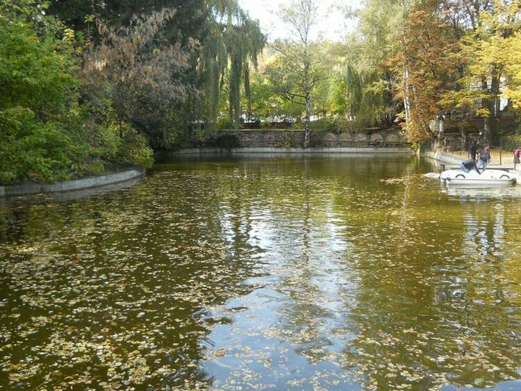 Община Перник иска да прекрати концесията на градския плувен басейн