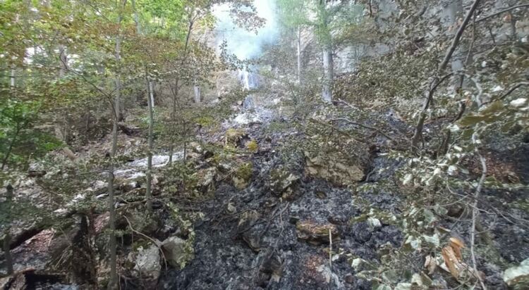 Доброволно формирование "Асеневци" в борба с пожара над Югово и Нареченски бани 