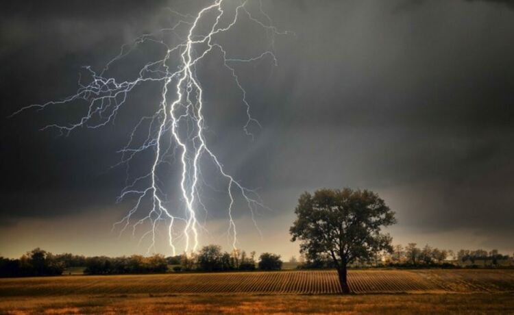 След бурята: Мълния подпали пожар край Доспат , вятър събори дърво върху електропород край Давидково