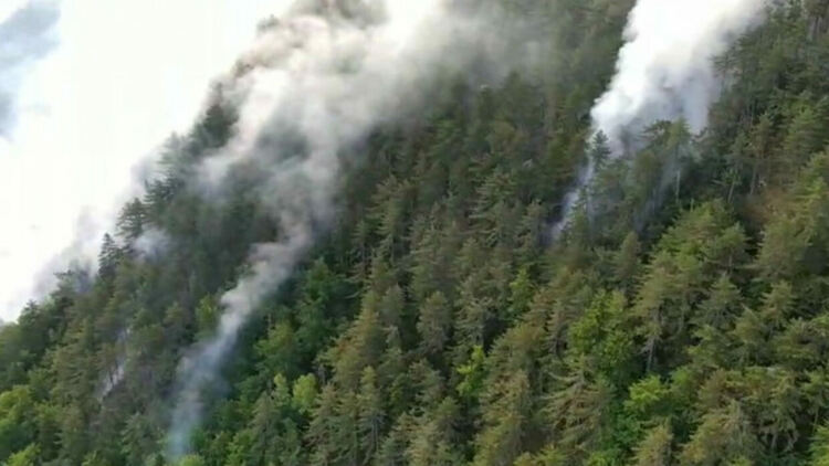 Край на кошмара над Югово. Дъждът помогна за потушаване на пожара