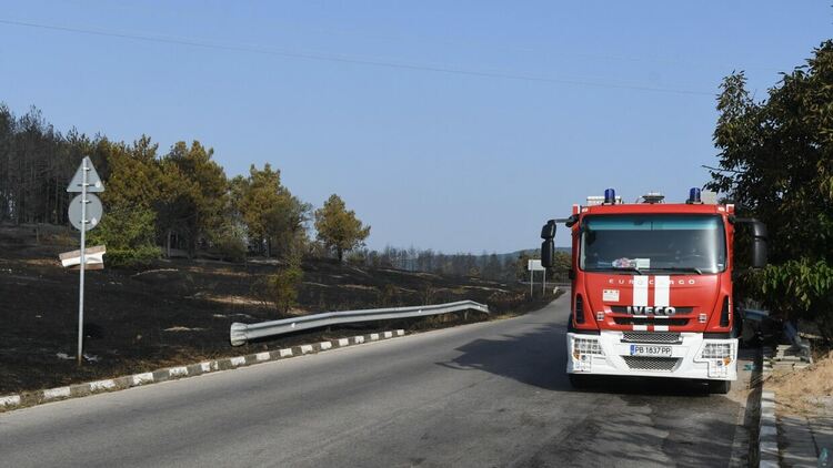 Пожарът край село Югово в Родопите е загасен