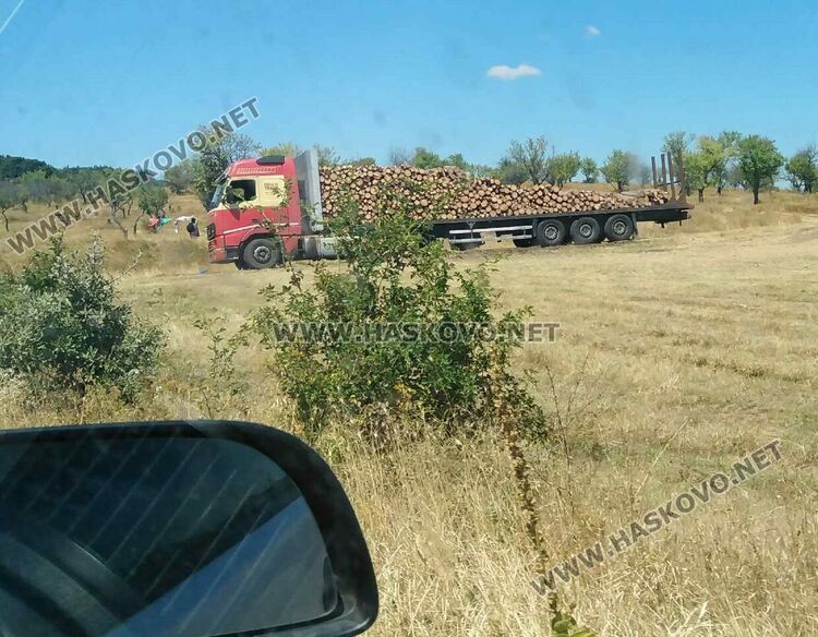 Снимка, качена от граждански горски патрул в приложението със съмнения за незаконна сеч в района на с. Плевун 