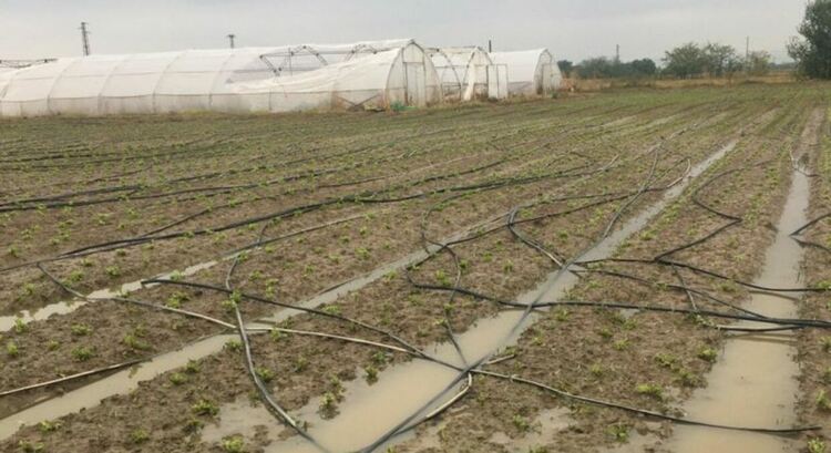 Противоградни ракети не са изстрелвани заради кацане на военен самолет на Граф Игнатиево