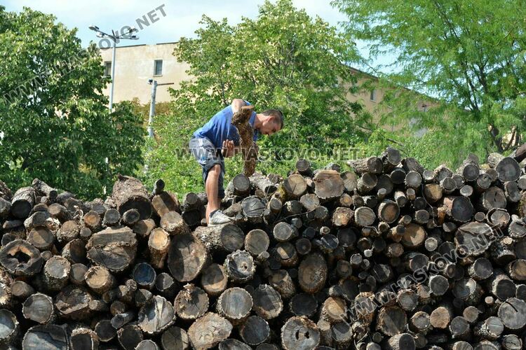 Тонът дърва за огрев с 20 лв. отгоре това лято