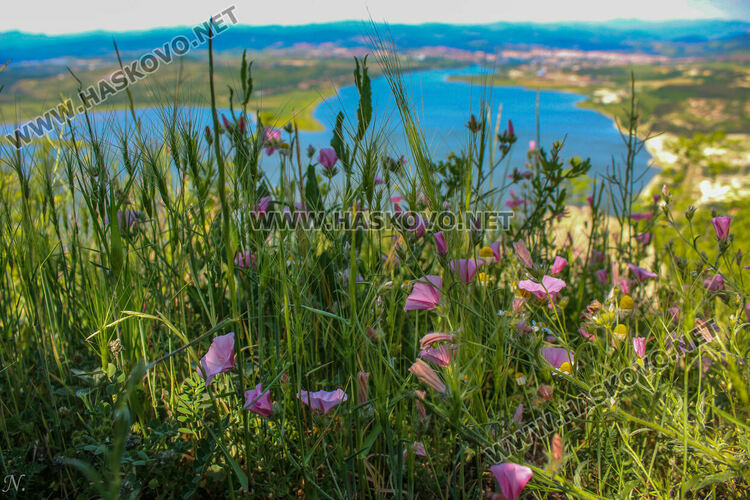 Снимка: Нина Серафимова