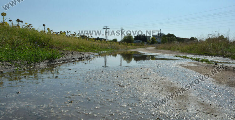 ВиК отстранява авария в нива със слънчоглед край &bdquo;Болярово&ldquo;