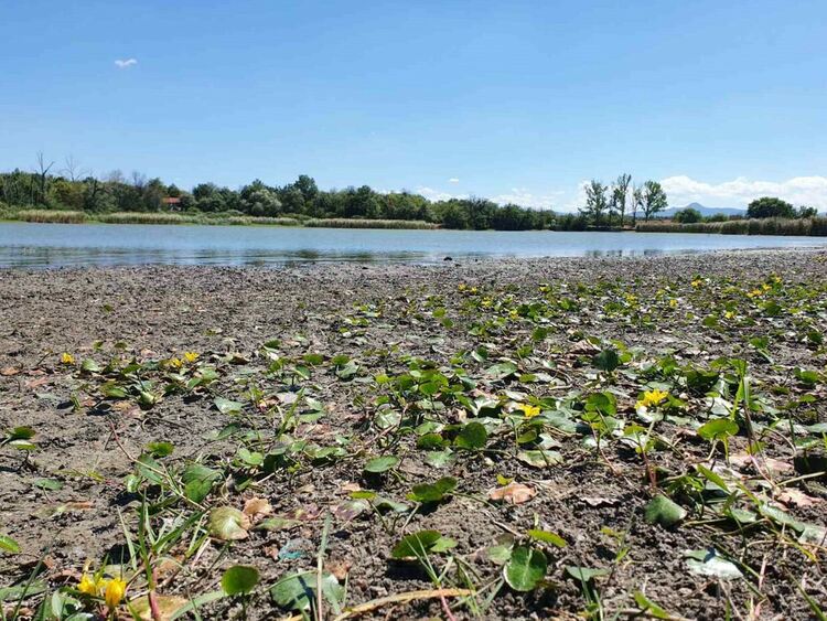 Влажната част е била под вода само до преди няколко дни