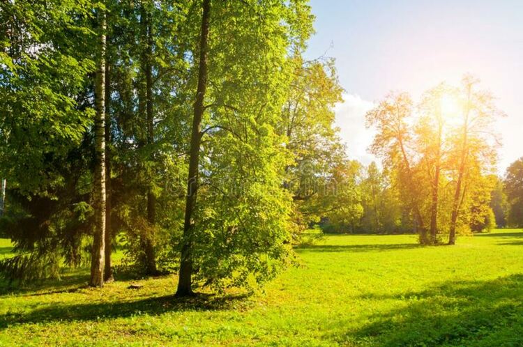 Затопляне с лек ветрец в събота