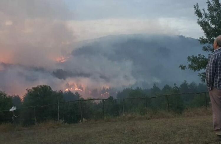 Пожарът в Кирковско е овладян,пламъците са потушени,гората все още тлее