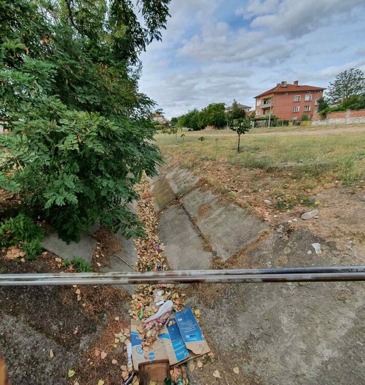 Наско Добрев сади "гора" до канала