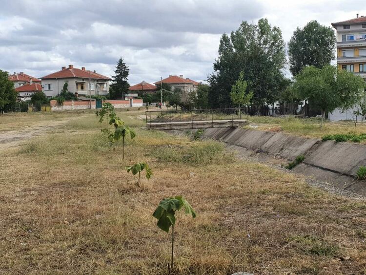 Наско Добрев сади "гора" до канала