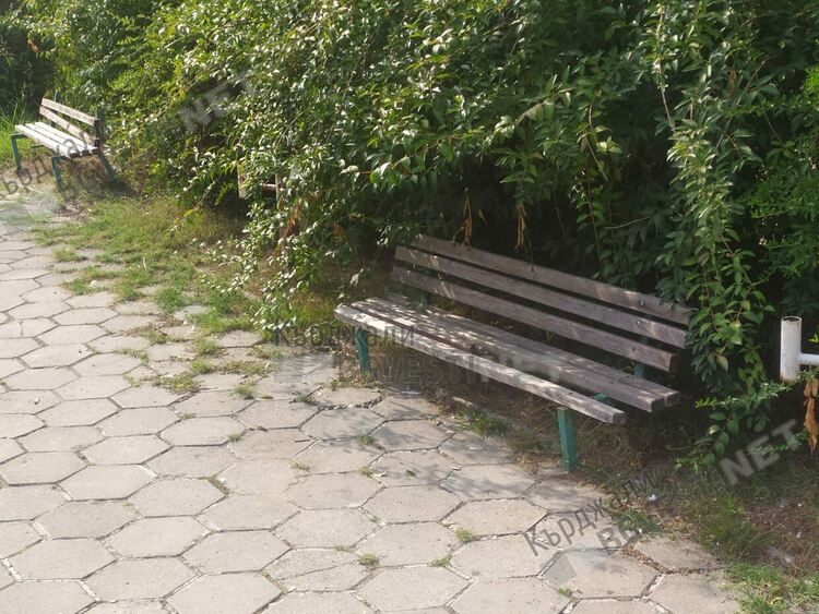 Вандали потрошиха пейките пред поликлиниката и лекарски кабинети, ОБЧ ги възстановиха по сигнал на Кърджали бг вести