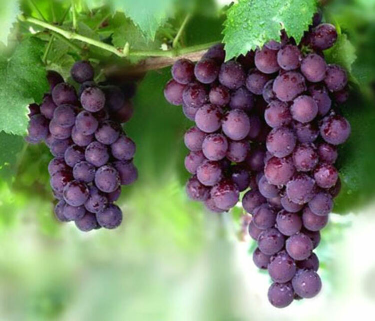 Облаците се оттеглят, температурите -нагоре