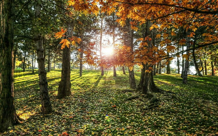 Слънчево и по-топло в събота