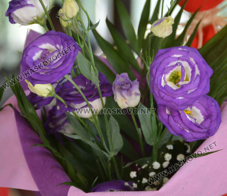 Ден преди първия учебен звънец пазарът на цветя се оживи