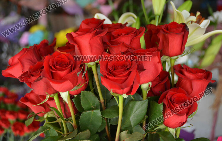 Ден преди първия учебен звънец пазарът на цветя се оживи