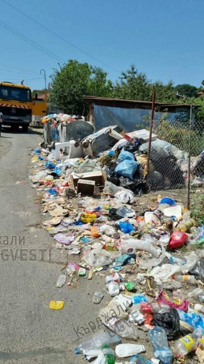 Опълченско тъне в камари от собствените си боклуци, превърна се в клоаката на общината